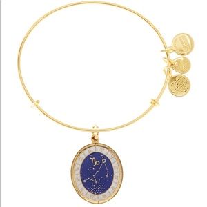 Alex and Ani Gold Constellation Capricorn Bangle